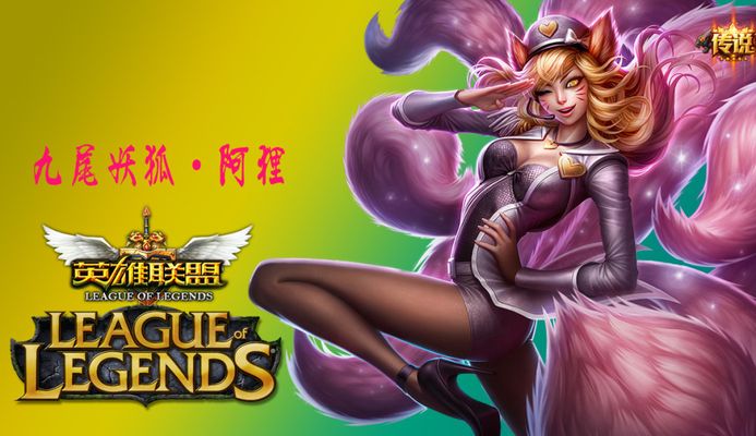 参赛队伍包