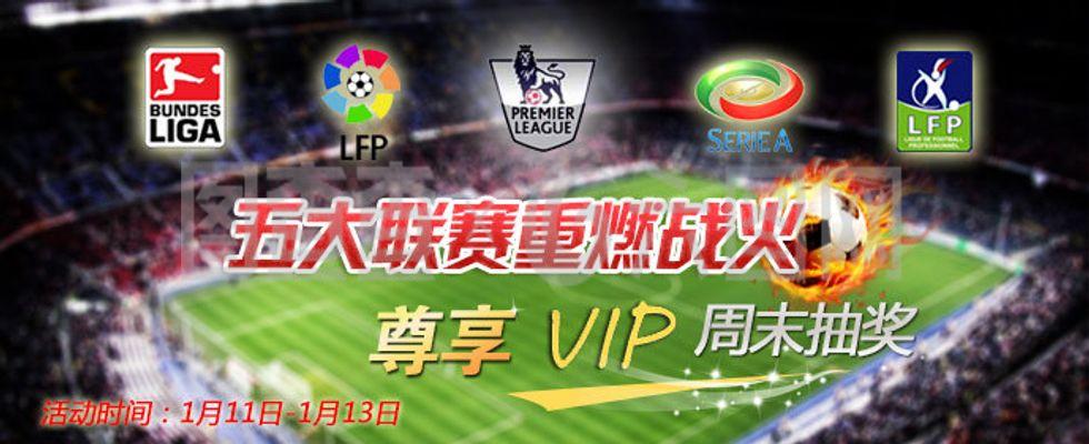 林斯的联手 林斯的联手