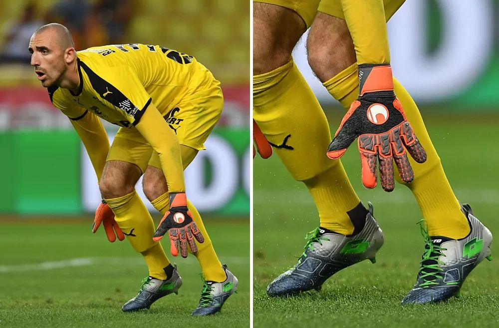 可以预见 可以预见