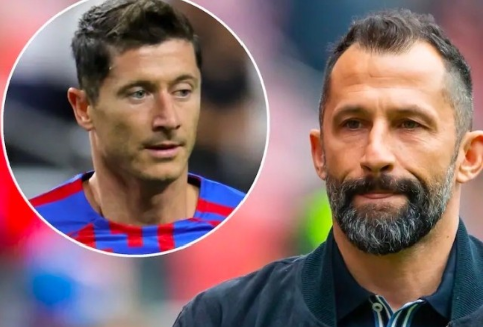 的西班牙球 的西班牙球